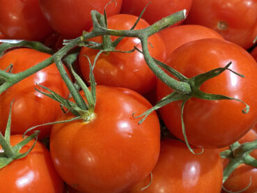 Vine Ripe Tomatoes 120 Jigsaw