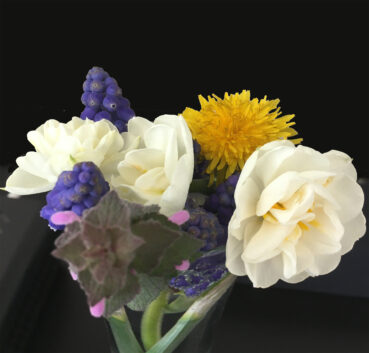 Backyard Wildflowers: 70-puzzle bouquet