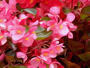 Bed of Begonias 120 Jigsaw Puzzle