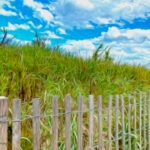Fall Dunes 120 Jigsaw Puzzle