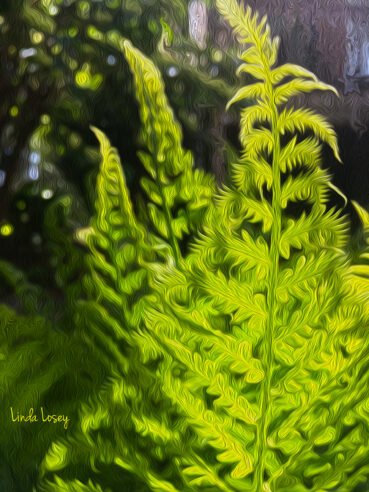 Ferns in the Light 120 Jigsaw