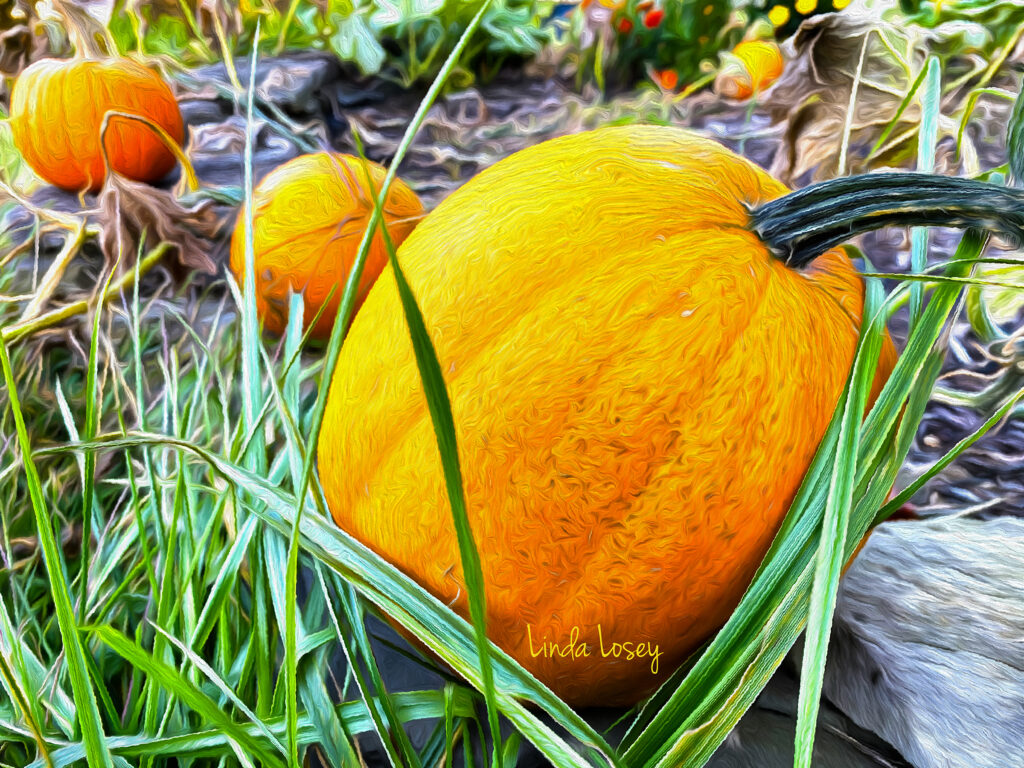 Pumpkin Patch 70 Jigsaw Puzzle > Awesome Puzzles to Play