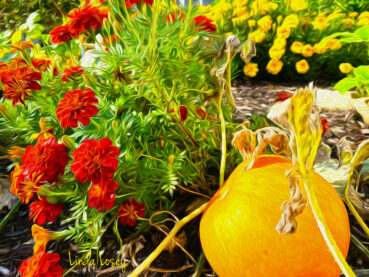 Pumpkins and Marigolds 120 Jigsaw Puzzle