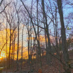 Sunset through the Woods 120 Jigsaw Puzzle